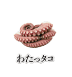 これはダジャレ（個別スタンプ：4）