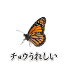 これはダジャレ（個別スタンプ：14）
