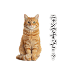 これはダジャレ（個別スタンプ：15）