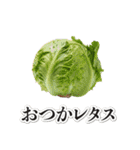 これはダジャレ（個別スタンプ：20）