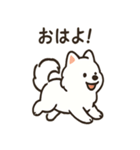 ふわふわサモエドの日常（個別スタンプ：1）