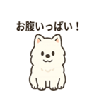 ふわふわサモエドの日常（個別スタンプ：3）