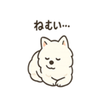 ふわふわサモエドの日常（個別スタンプ：4）
