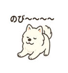 ふわふわサモエドの日常（個別スタンプ：6）