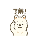 ふわふわサモエドの日常（個別スタンプ：13）