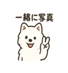 ふわふわサモエドの日常（個別スタンプ：25）