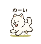 ふわふわサモエドの日常（個別スタンプ：26）