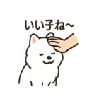 ふわふわサモエドの日常（個別スタンプ：36）