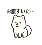 ふわふわサモエドの日常（個別スタンプ：40）