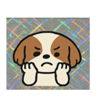 キラもふシーズーのごきげん便り@SFW（個別スタンプ：4）