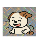 キラもふシーズーのごきげん便り@SFW（個別スタンプ：6）