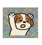 キラもふシーズーのごきげん便り@SFW（個別スタンプ：7）