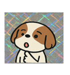 キラもふシーズーのごきげん便り@SFW（個別スタンプ：12）