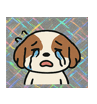 キラもふシーズーのごきげん便り@SFW（個別スタンプ：20）