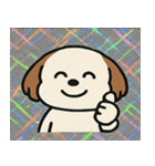 キラもふシーズーのごきげん便り@SFW（個別スタンプ：22）