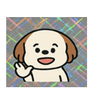 キラもふシーズーのごきげん便り@SFW（個別スタンプ：24）