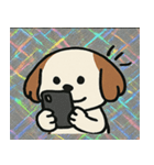 キラもふシーズーのごきげん便り@SFW（個別スタンプ：26）