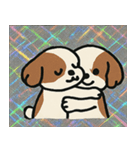 キラもふシーズーのごきげん便り@SFW（個別スタンプ：29）