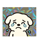 ホロきらマルチーズのおすまし日和@SFW（個別スタンプ：4）