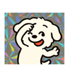 ホロきらマルチーズのおすまし日和@SFW（個別スタンプ：13）