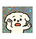 ホロきらマルチーズのおすまし日和@SFW（個別スタンプ：19）