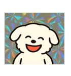 ホロきらマルチーズのおすまし日和@SFW（個別スタンプ：20）