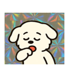 ホロきらマルチーズのおすまし日和@SFW（個別スタンプ：24）