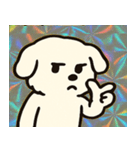 ホロきらマルチーズのおすまし日和@SFW（個別スタンプ：31）