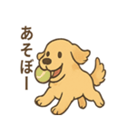 ゴールデンとおともだち（個別スタンプ：1）