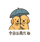 ゴールデンとおともだち（個別スタンプ：2）