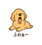 ゴールデンとおともだち（個別スタンプ：3）