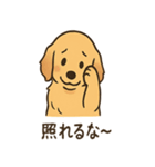 ゴールデンとおともだち（個別スタンプ：4）