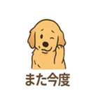 ゴールデンとおともだち（個別スタンプ：6）