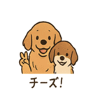 ゴールデンとおともだち（個別スタンプ：7）