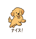 ゴールデンとおともだち（個別スタンプ：9）