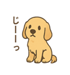ゴールデンとおともだち（個別スタンプ：12）