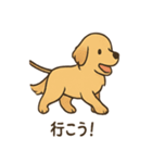 ゴールデンとおともだち（個別スタンプ：13）
