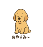 ゴールデンとおともだち（個別スタンプ：14）