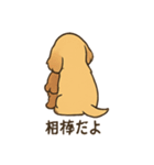 ゴールデンとおともだち（個別スタンプ：15）