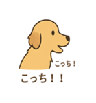 ゴールデンとおともだち（個別スタンプ：19）