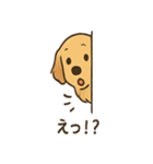 ゴールデンとおともだち（個別スタンプ：20）