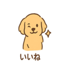 ゴールデンとおともだち（個別スタンプ：24）