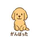 ゴールデンとおともだち（個別スタンプ：25）