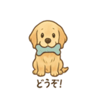 ゴールデンとおともだち（個別スタンプ：31）