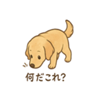 ゴールデンとおともだち（個別スタンプ：32）