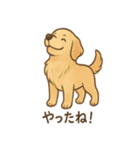 ゴールデンとおともだち（個別スタンプ：33）