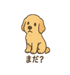 ゴールデンとおともだち（個別スタンプ：34）