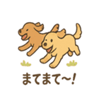 ゴールデンとおともだち（個別スタンプ：37）