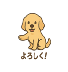 ゴールデンとおともだち（個別スタンプ：39）