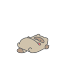 秋を楽しむたぬきちゃん（秋）（個別スタンプ：10）